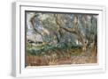 White Frame