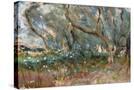 Stretched Canvas