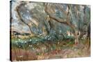 Stretched Canvas