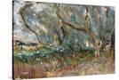 Stretched Canvas