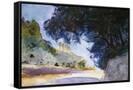 Canvas Black