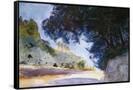 Canvas Black