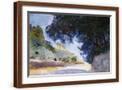 Brown Frame