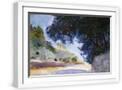 White Frame