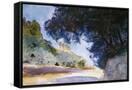 Canvas Black