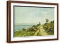 Brown Frame