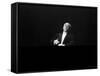 Eugene Ormandy Conducting the Philadelphia Orchestra in Concert at Carnegie Hall-Alfred Eisenstaedt-Framed Stretched Canvas