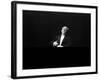 Eugene Ormandy Conducting the Philadelphia Orchestra in Concert at Carnegie Hall-Alfred Eisenstaedt-Framed Premium Photographic Print