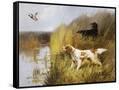 Canvas Black