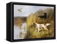 Canvas Black