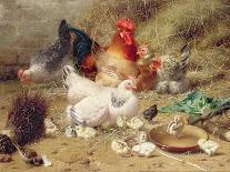 Feeding the Chickens, (Maes and Jan David Col, 1822-1900)-Eugene Remy Maes-Framed Giclee Print