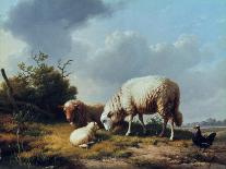Sheep and Poultry in a Landscape, 19th Century-Eugène Verboeckhoven-Laminated Giclee Print