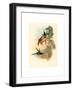 Eugenia Imperatrix (Empress Hummingbird)-Richter & Gould-Framed Giclee Print