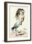 Eugenie Caricatured-null-Framed Art Print