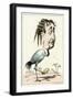 Eugenie Caricatured-null-Framed Art Print