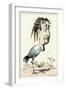 Eugenie Caricatured-null-Framed Art Print