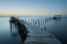 Acuatic Sticks-Eugenio Pastor Benjumeda-Photographic Print