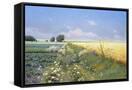 Canvas Black