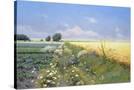 Stretched Canvas