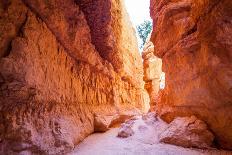 Bryce Canyon National Park in Utah, Usa-Eunika-Photographic Print