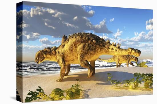Euoplocephalus Dinosaurs Munch on Melons on an Ocean Beach-Stocktrek Images-Stretched Canvas