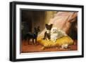 Black Frame