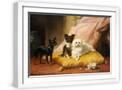 White Frame
