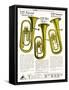 Euphonium (Wurlitzer)-null-Framed Stretched Canvas