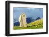 Eurasia, Caucasus Region, Armenia, Syunik Province, Karahunj Zorats Karer-Christian Kober-Framed Photographic Print