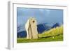 Eurasia, Caucasus Region, Armenia, Syunik Province, Karahunj Zorats Karer-Christian Kober-Framed Photographic Print