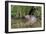 Eurasian Beaver (Castor Fiber), Captive in Breeding Programme, United Kingdom, Europe-Ann and Steve Toon-Framed Photographic Print