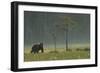 Eurasian Brown Bear (Ursus Arctos) in Early Evening, Kuhmo, Finland, July 2008-Widstrand-Framed Photographic Print