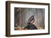 Eurasian Eagle Owl (Bubo Bubo) Sitting on the Stump, Close-Up, Wildlife Photo.-Vladimir Hodac-Framed Photographic Print