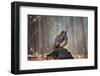 Eurasian Eagle Owl (Bubo Bubo) Sitting on the Stump, Close-Up, Wildlife Photo.-Vladimir Hodac-Framed Photographic Print