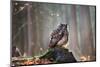 Eurasian Eagle Owl (Bubo Bubo) Sitting on the Stump, Close-Up, Wildlife Photo.-Vladimir Hodac-Mounted Photographic Print