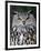 Eurasian Eagle-Owl Captive, France-Eric Baccega-Framed Premium Photographic Print