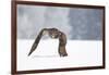 Eurasian Eagle-Owl-Milan Zygmunt-Framed Giclee Print