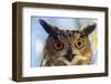 Eurasian Eagle Owl-W. Perry Conway-Framed Photographic Print