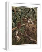 Eurasian Harvest Mouse by Alfred Edmund Brehm-Stefano Bianchetti-Framed Giclee Print