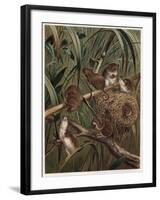 Eurasian Harvest Mouse by Alfred Edmund Brehm-Stefano Bianchetti-Framed Premium Giclee Print