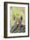 Eurasian lynx kitten, aged six weeks, hiding behind tree-Edwin Giesbers-Framed Photographic Print