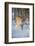 Eurasian lynx (Lynx lynx) walking in snow, Yaroslavl, Central Federal District, Russia-Valeriy Maleev-Framed Photographic Print