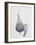 Eurasian Nuthatch or Nuthatch (Sitta Europaea), Sittidae-null-Framed Giclee Print