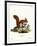 Eurasian Red Squirrel-null-Framed Giclee Print