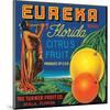 Eureka Florida Citrus-null-Mounted Art Print