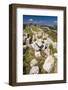 Eurialo Casle (Castello Eurialo)-Matthew Williams-Ellis-Framed Photographic Print