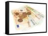 Euro Banknotes and Euro Cents-Yastremska-Framed Stretched Canvas