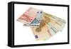 Euro Banknotes and Euro Cents-Yastremska-Framed Stretched Canvas