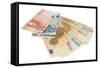 Euro Banknotes and Euro Cents-Yastremska-Framed Stretched Canvas