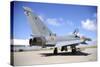 Eurofighter Ef2000 Typhoon of the Spanish Air Force-Stocktrek Images-Stretched Canvas